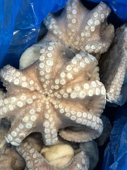 Octopus (Vulgaris), T5 (1-1.5 kg), Whole, Frozen, IQF, Morocco, CW, 12 kg (26.46 lb)