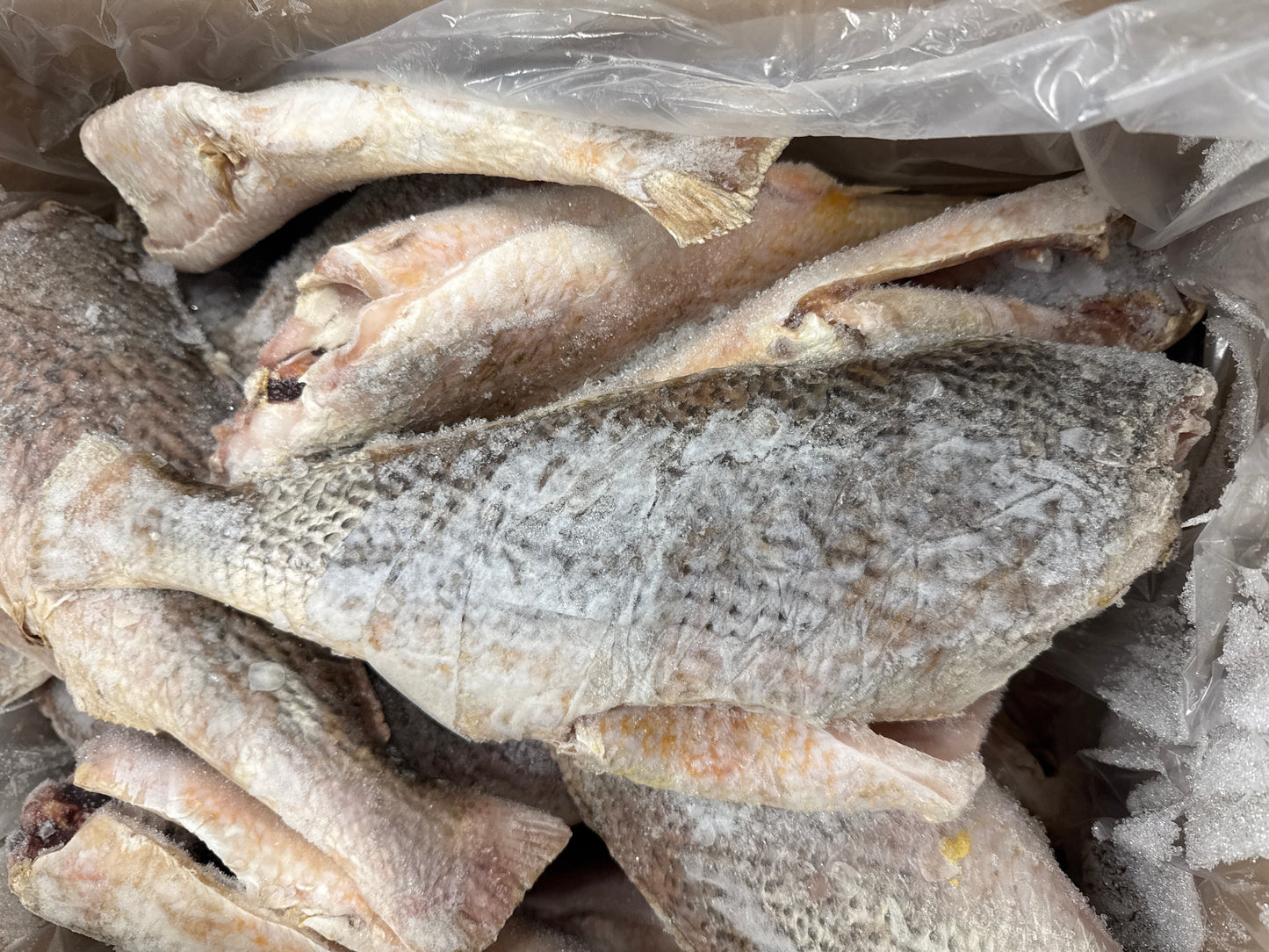 Croaker (Yellow), 24-32oz, Pan Ready, Frozen, Brazil, NW, 25lb