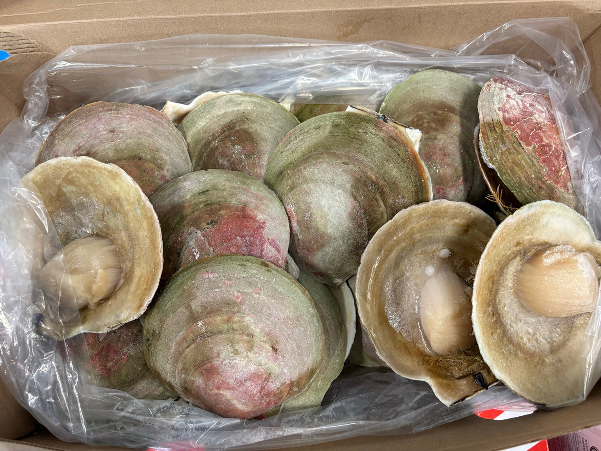 Scallops,(Meat only), +11cm / +12cm, H/SH, IQF, Frozen, Canada, NW, 8lb
