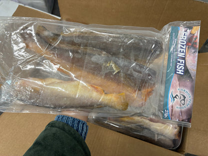 King Weakfish (Bangamary), 3-6 ppb, Whole, Frozen, Brazil, AN, 2lb bag, NW, 22lb