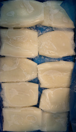 Squid (Majister), U10, Interleaved Tubes, Frozen, YT, NW, 2x 5 kg, 22.05 lb