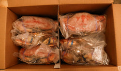 Crab (Dungeness), 2 lb up, Frozen, IWP, USA, NW, 30 lb