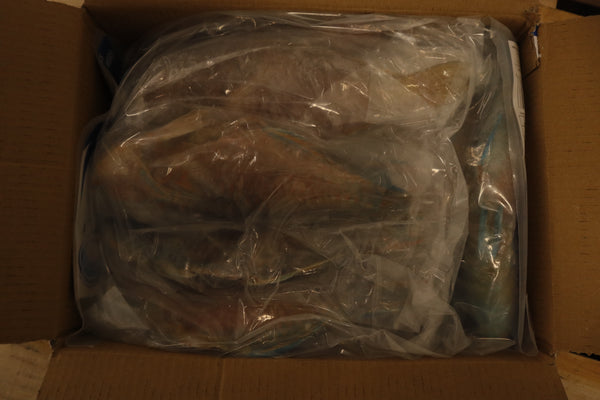 Parrot Fish, 3/4-1lb, WGGS, Frozen, IQF, IWP, Vietnam, Ocean Harvest, NW, 10lb, 2x5lb