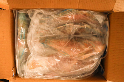 Parrot Fish, 3/4-1lb, WGGS, Frozen, IQF, IWP, Vietnam, Ocean Harvest, NW, 10lb, 2x5lb