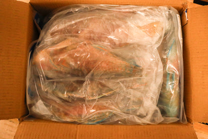Parrot Fish, 3/4-1lb, WGGS, Frozen, IQF, IWP, Vietnam, Ocean Harvest, NW, 10lb, 2x5lb