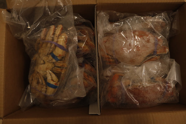 Crab (Dungeness), 1.5-2.3 lb,  Frozen, IWP, USA, NW, 30 lb