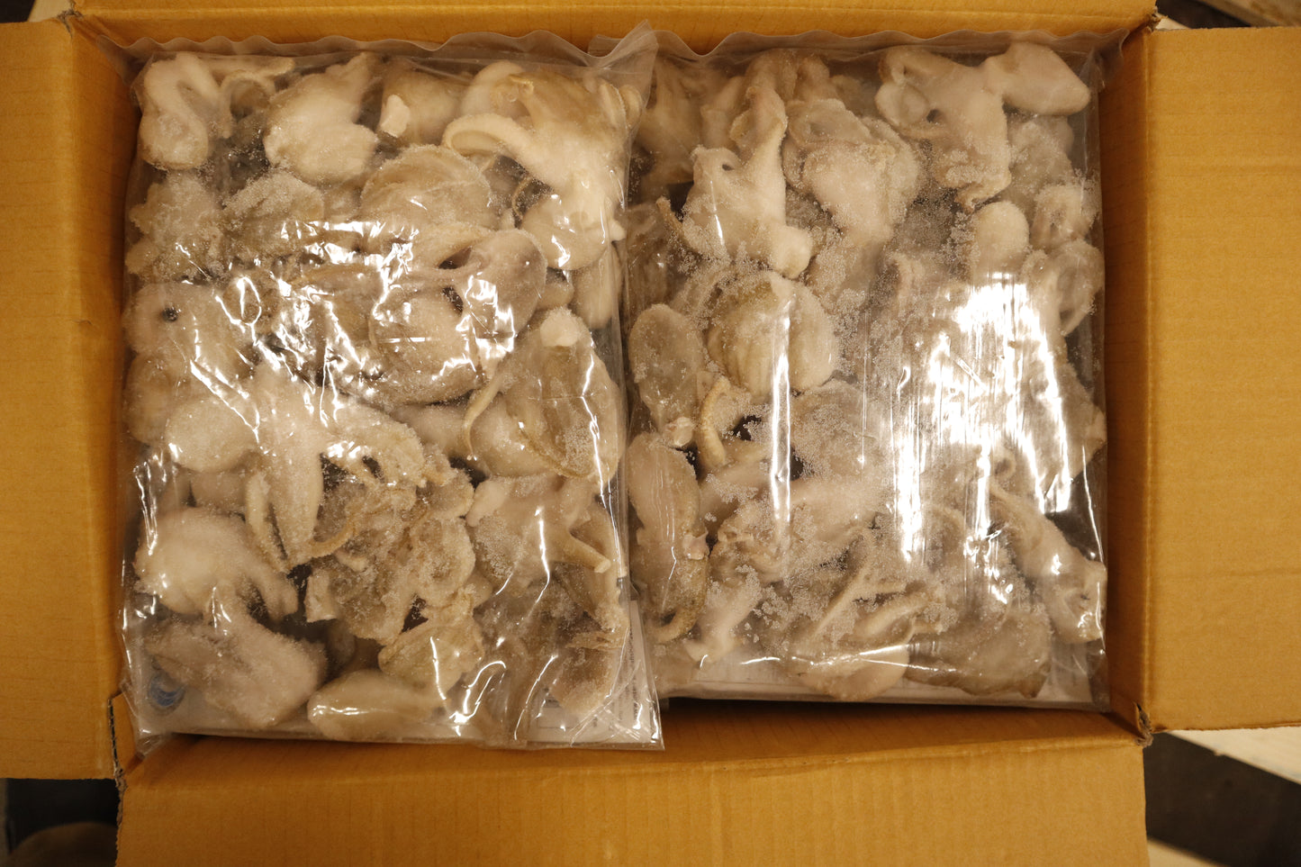 Octopus (Baby), 26-40, Whole cleaned, Frozen, IQF, Thailand, Ocean Harvest, NW, 20lb, 10x2lb