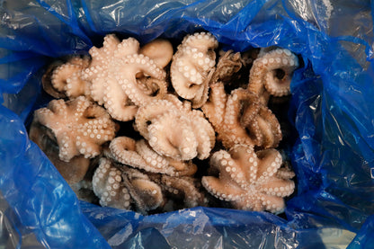 Octopus (Vulgaris), T7, Whole, Frozen, IQF, Morocco, NW, 12 kg (26.46 lb)