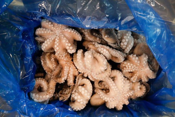 Octopus (Vulgaris), T7, Whole, Frozen, IQF, Morocco, NW, 12 kg (26.46 lb)