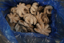 Octopus (Vulgaris), T7, Whole, Frozen, IQF, Morocco, NW, 12 kg (26.46 lb)