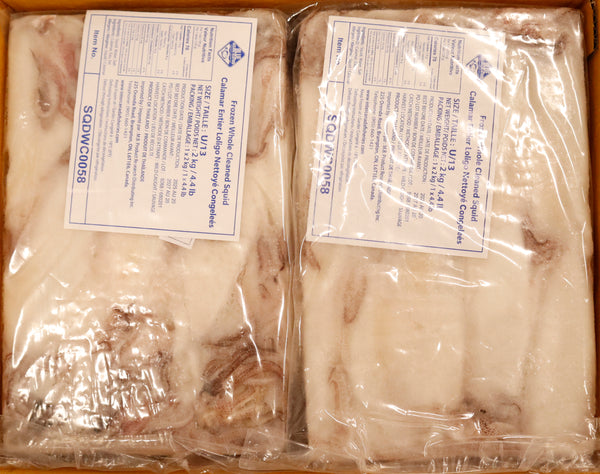 Squid (Loligo For.), U13, Whole, Cleaned, Frozen, Thailand, Blue Ocean, NW,12kg, 6 x 2kg (26.46lb)