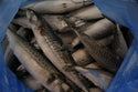 Mackerel (Atlantic), 400-600 g, Whole Round, Frozen, IQF,  Iceland, NW, 18 kg, (39.683lb)