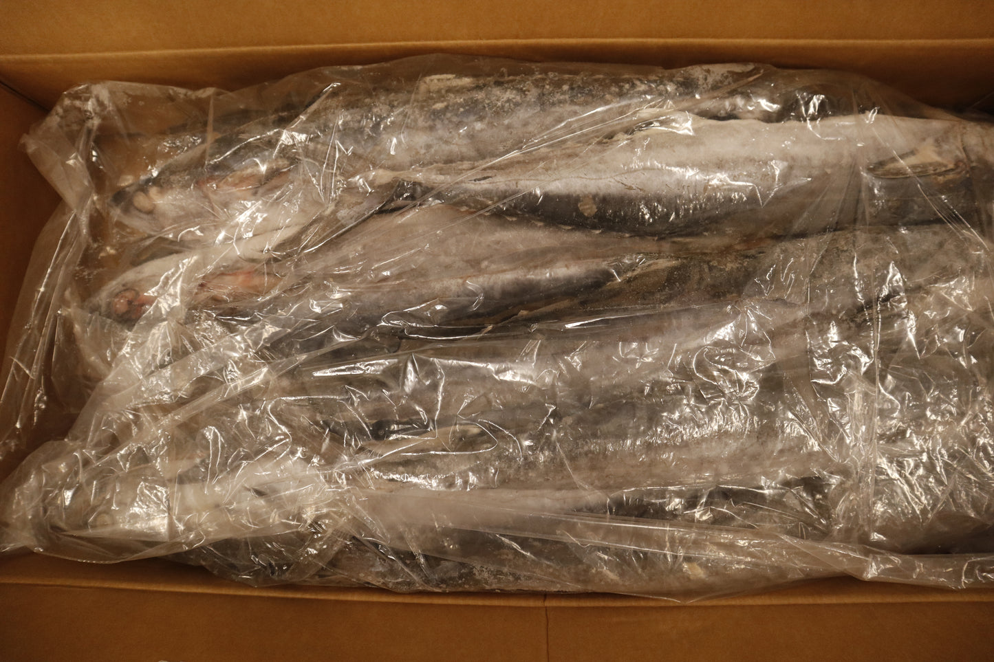 King Fish, 3-5 lb/pc, Whole, Frozen, IWP, Suriname, DSA, NW, 66 lb