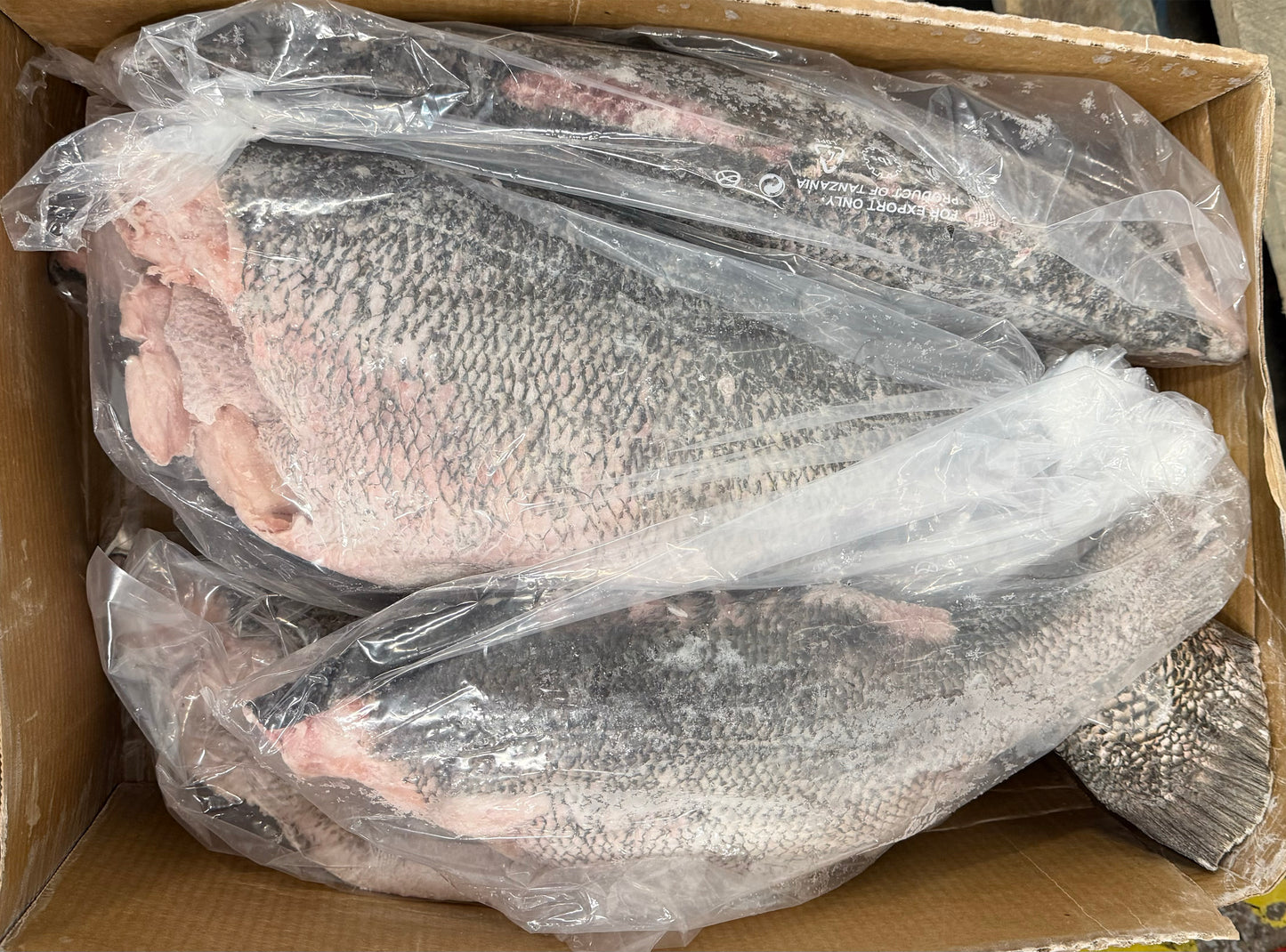 Two large whole fish wrapped in clear plastic inside a cardboard box.