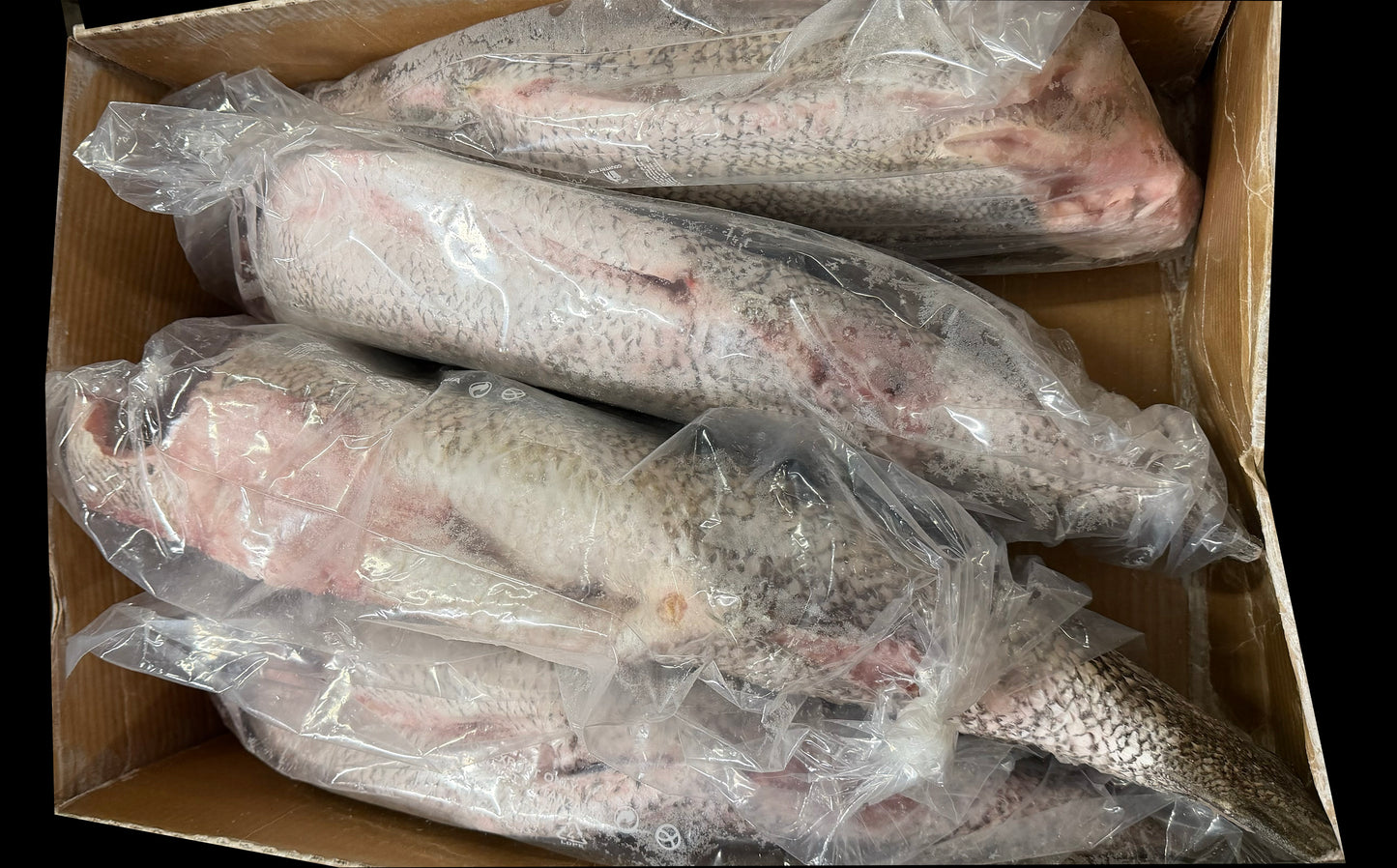 Perch (Nile), 1-3 kg/pc, Headless, Gutted, J-Cut, Tail Off, Frozen, IWP, Tanzania, NW, 20 kg (44.1 lb)