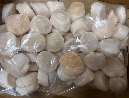 Sea Scallops, U12, Frozen, Hokkaido, Japan,  IQF,NW, 20 lb, 4x5lb