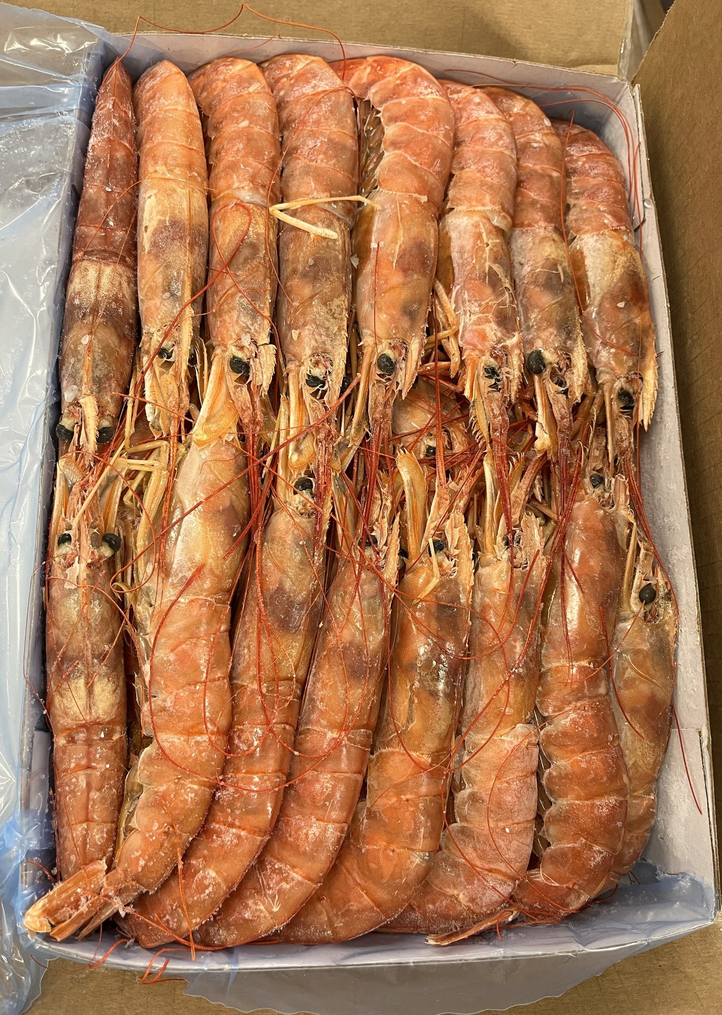 Shrimp (Red), L1 10-20 ppk, Head On, Frozen, Block, Argentina, NW, 12 kg, 6 x 2 kg