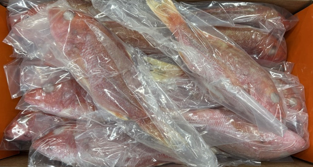Snapper (Red), 1/2-3/4 lb, GGS, Frozen, Brazil, NW, 10 lb