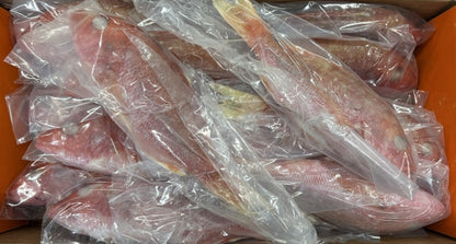 Snapper (Red), 1/2-3/4 lb, GGS, Frozen, Brazil, NW, 10 lb