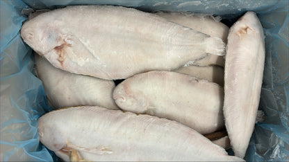 Sole (Dover), 20-24, Whole Round, Frozen, IQF, Prince of Urk, NW, 25lb