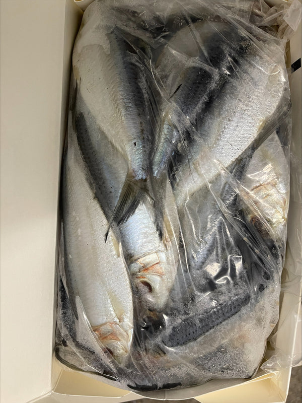 Thread Herring, Whole, Frozen, NW, 50 lb, 10 x lb Inter-Canada