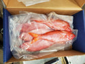 Snapper (Red), 1/2-3/4 lb, WGGS, Frozen, Brazil, Prime, NW, 10 lb