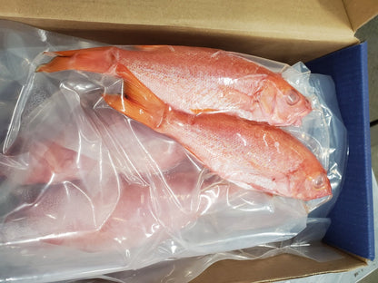 Snapper (Red), 1/2-3/4 lb, WGGS, Frozen, Brazil, Prime, NW, 10 lb