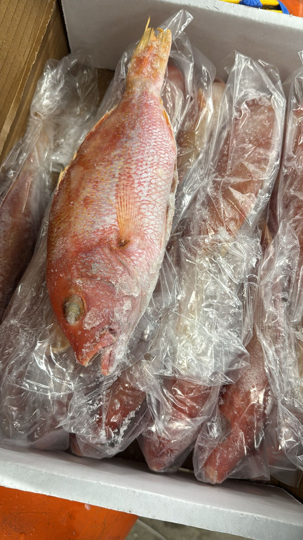 Snapper (Red), 3/4-1 lb, WGGS, Frozen, RB, NW, 10 lb