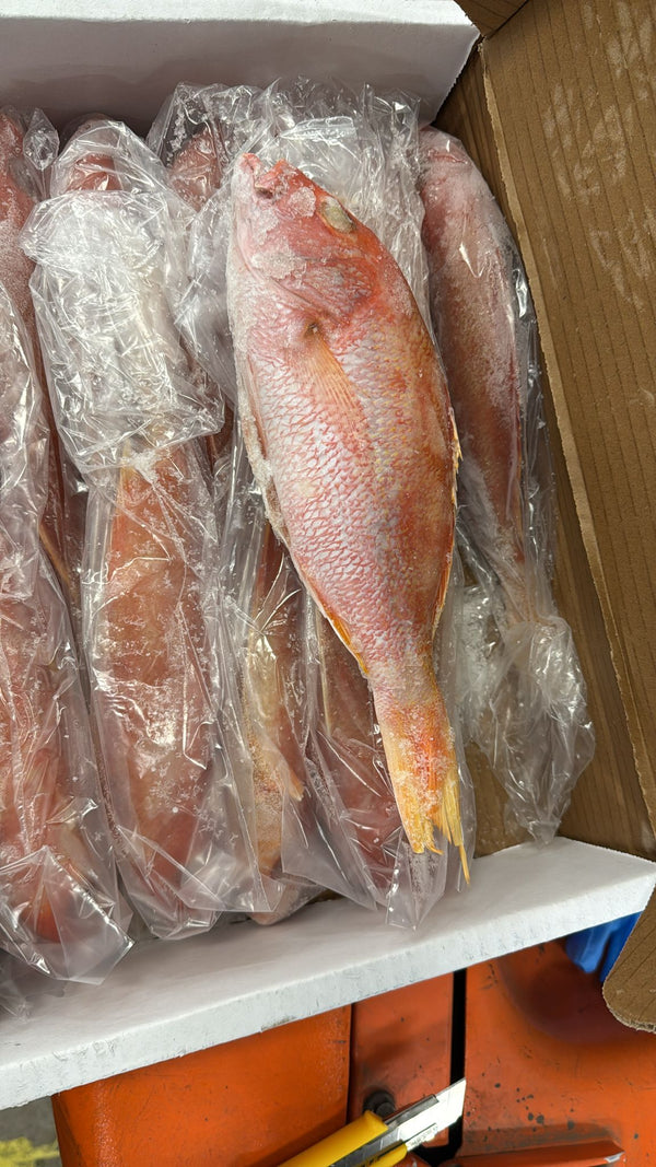 Snapper (Red), 3/4-1 lb, WGGS, Frozen, RB, NW, 10 lb