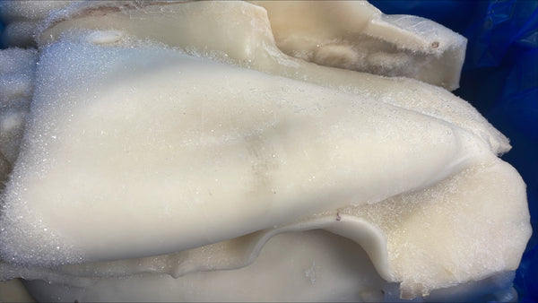 Cuttlefish (Cleaned), 2000 g Up, Frozen, IQF, Morocco,  NW, 12 kg (26.46 lb)