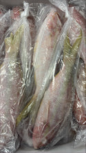 Snapper (Yellow Tail), 1/2-3/4, WGGS, Frozen, Brazil, NW, 10lb