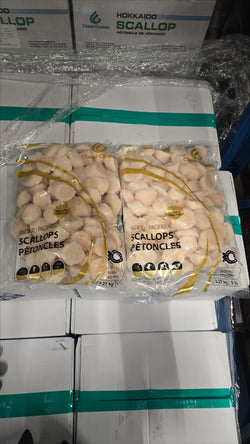 Sea Scallops, 10-20, Frozen, Hokkaido, Japan, IQF,NW, 20 lb, 4x5lb