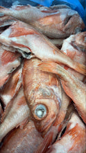 Red Fish 1/4-1/2lb, WGGS, Frozen, Canada, NW, 10lb