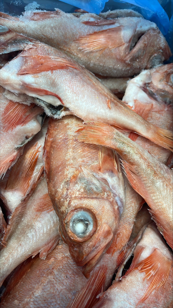 Red Fish 1/4-1/2lb, WGGS, Frozen, Canada, NW, 10lb