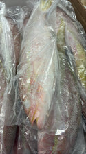Snapper (Yellow Tail), 1/2-3/4, WGGS, Frozen, Brazil, NW, 10lb