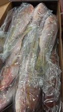 Snapper (Yellow Tail), 1/2-3/4 lb, GGS, Frozen, NW, 10 lb