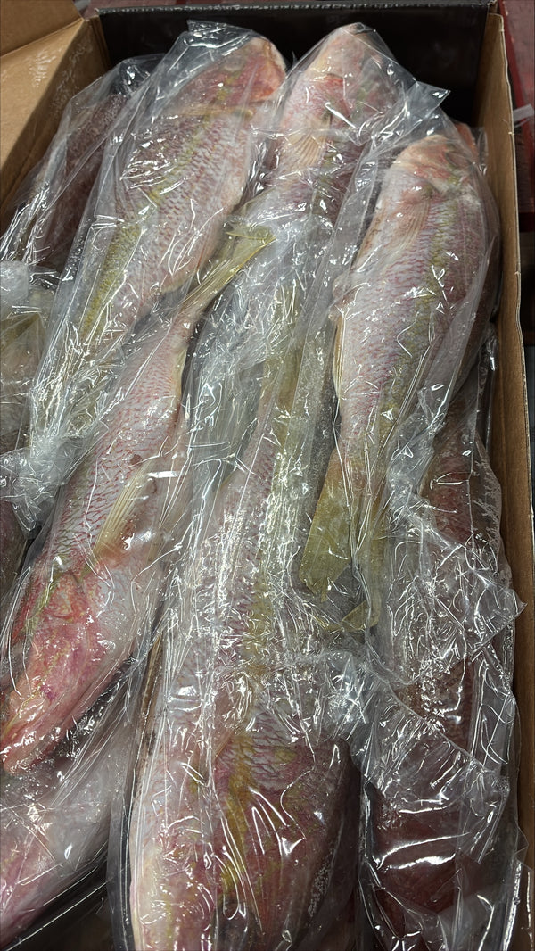 Snapper (Yellow Tail), 1/2-3/4 lb, GGS, Frozen, NW, 10 lb