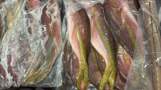 Snapper (Yellow Tail), 1/2-1 lb, Whole, Gutted, Frozen,  Mexico,  NW, 55 lb
