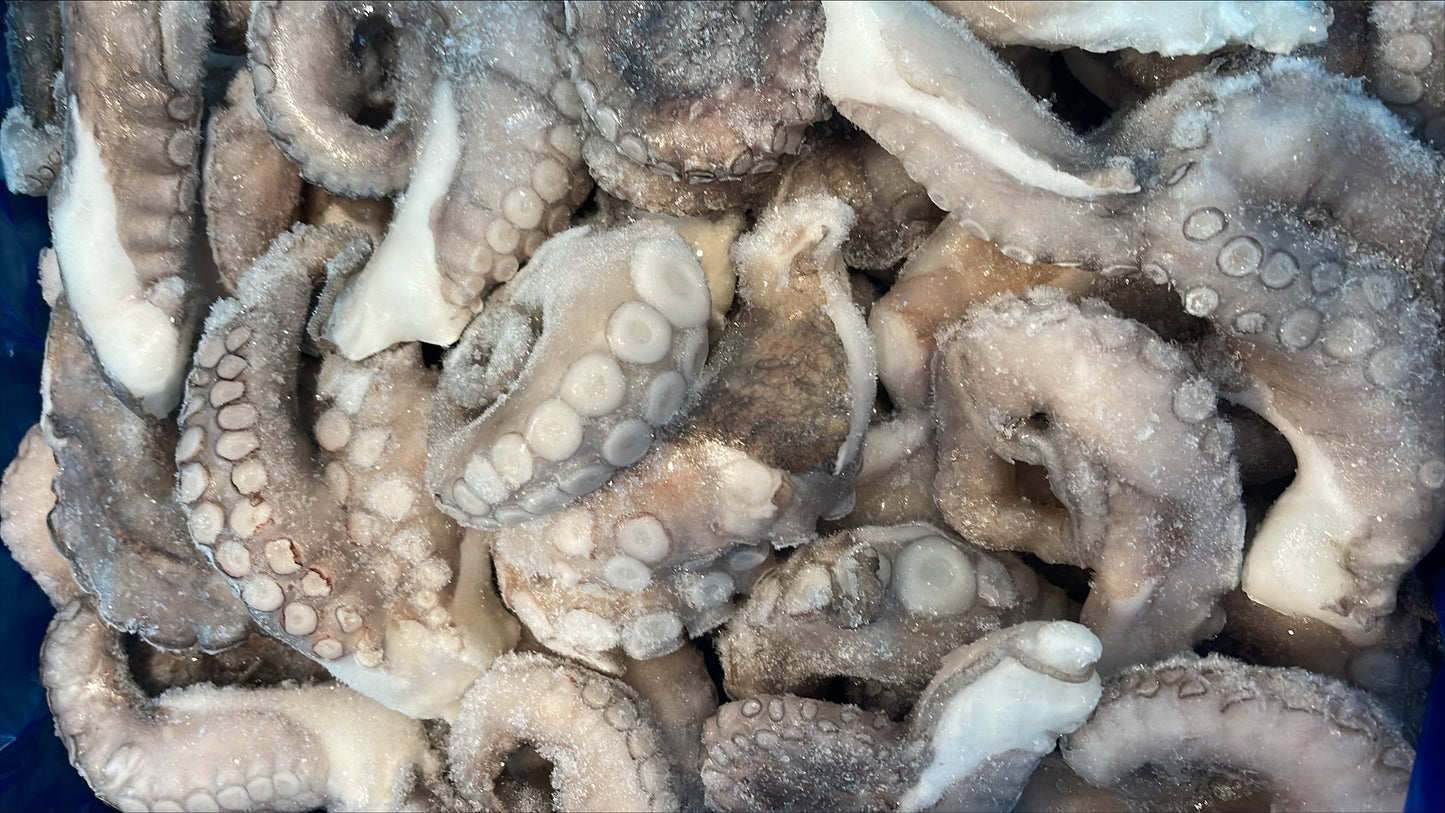Octopus, (Vulgaris), T6 (0.8-1.2 kg), Legs, Frozen, NW, Morocco, 6 kg (13.23 lb)