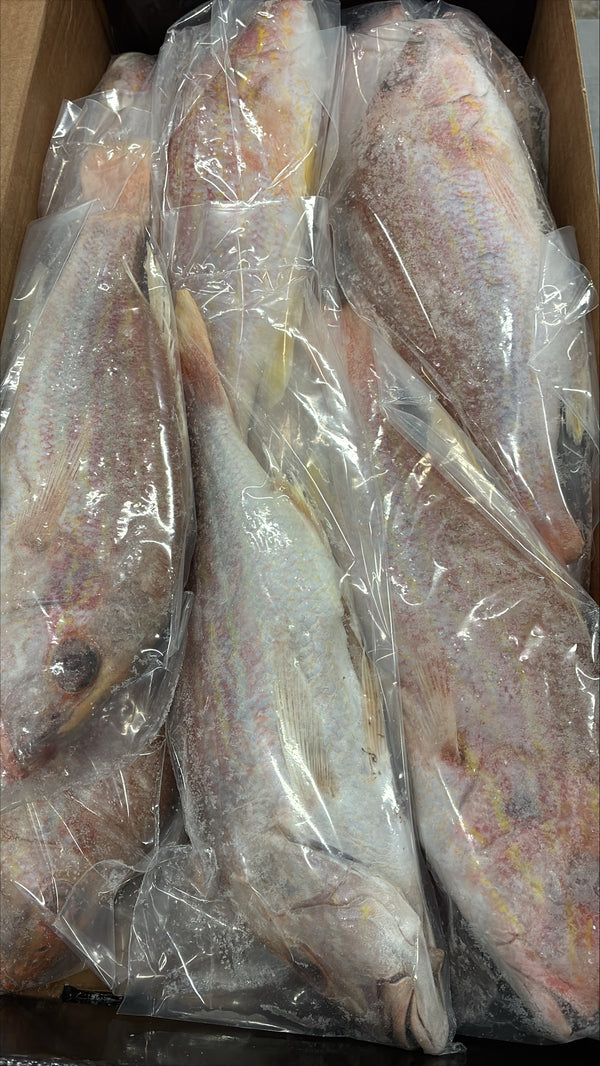 Snapper (Lane), 3/4-1 lb, GGS, Frozen, NW, 10 lb