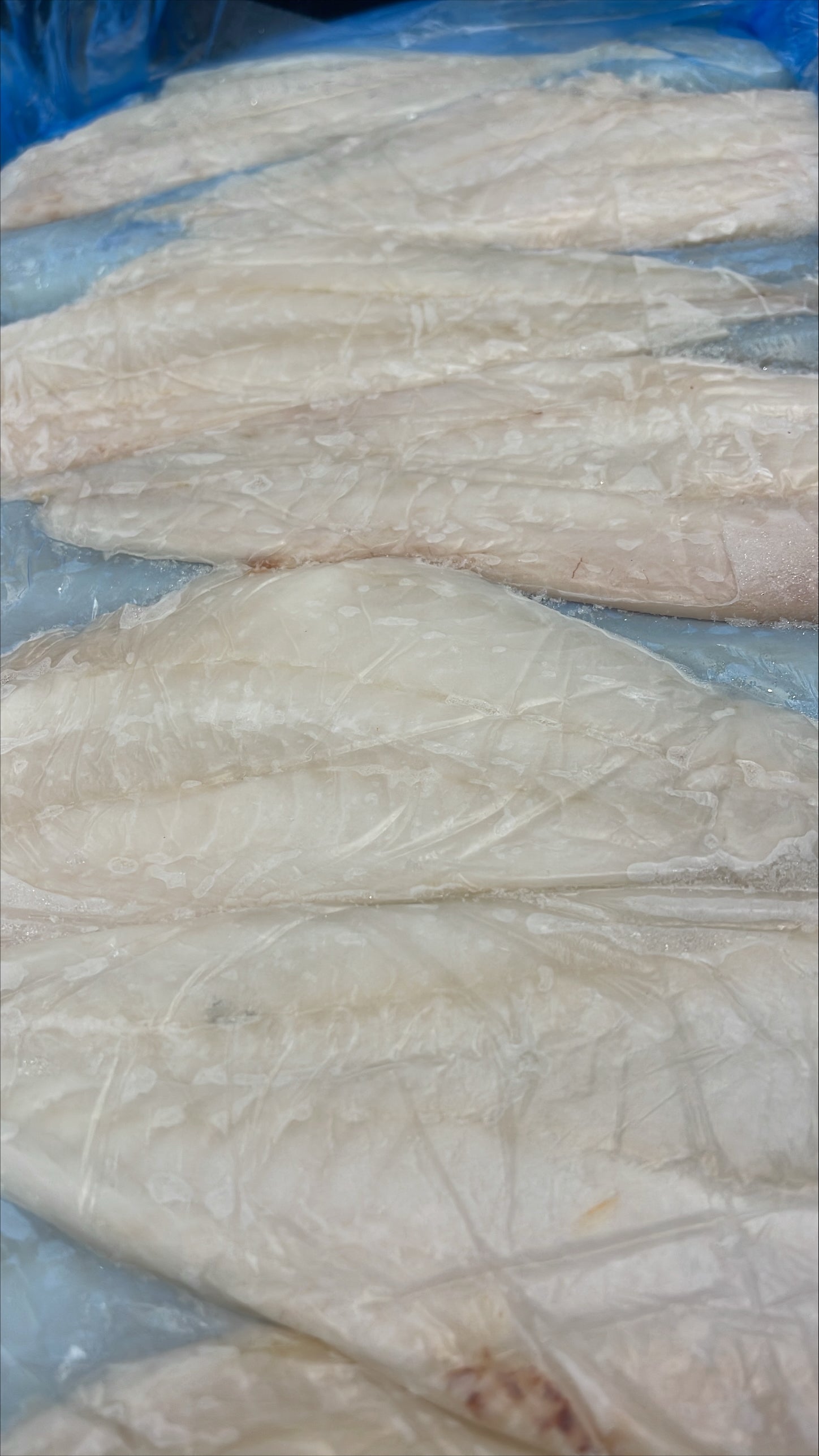 Roughy (Orange), 4-6 oz, Fillets, SBL, Fresh, NW, 10 kg (22.05 lb ...