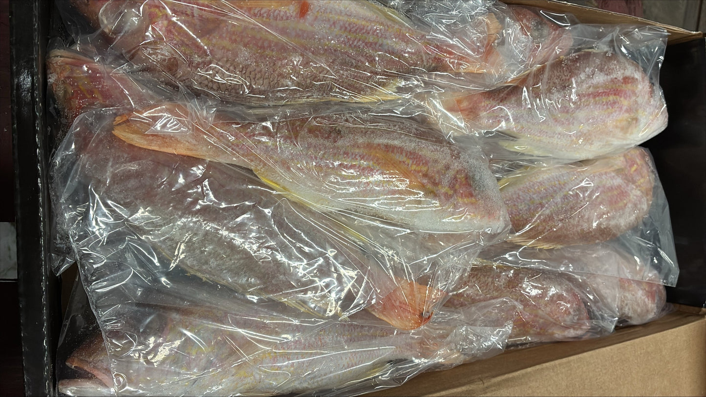 Snapper (Lane), 1/2-3/4 lb, GGS, Frozen, IWP, Brazil, , NW, 10 lb