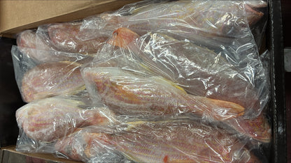 Snapper (Yellow Tail), 3/4-1 lb, GGS, Frozen, IWP, Brazil, NW, 10 lb