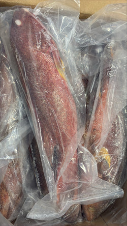 Grouper (Strawberry), 1-2, WGGS, Frozen, IQF, IWP, Vietnam, NW, 10lb