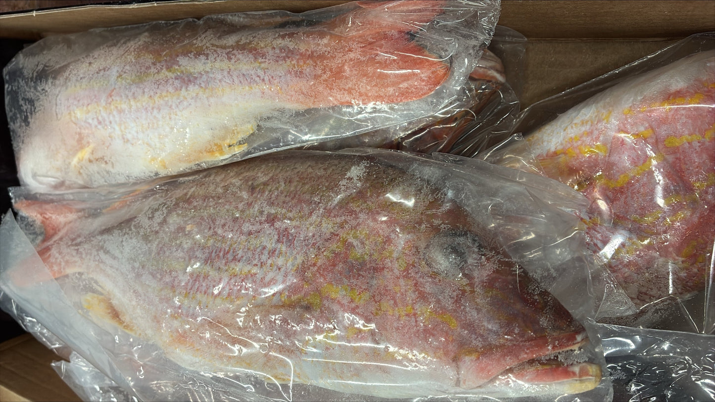 Snapper (Lane), 1.5-2, GGS, Frozen, IWP, Brazil,  NW, 10 lb