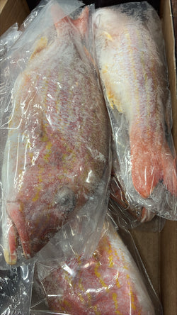 Snapper (Lane), 1.5-2, GGS, Frozen, IWP, Brazil,  NW, 10 lb