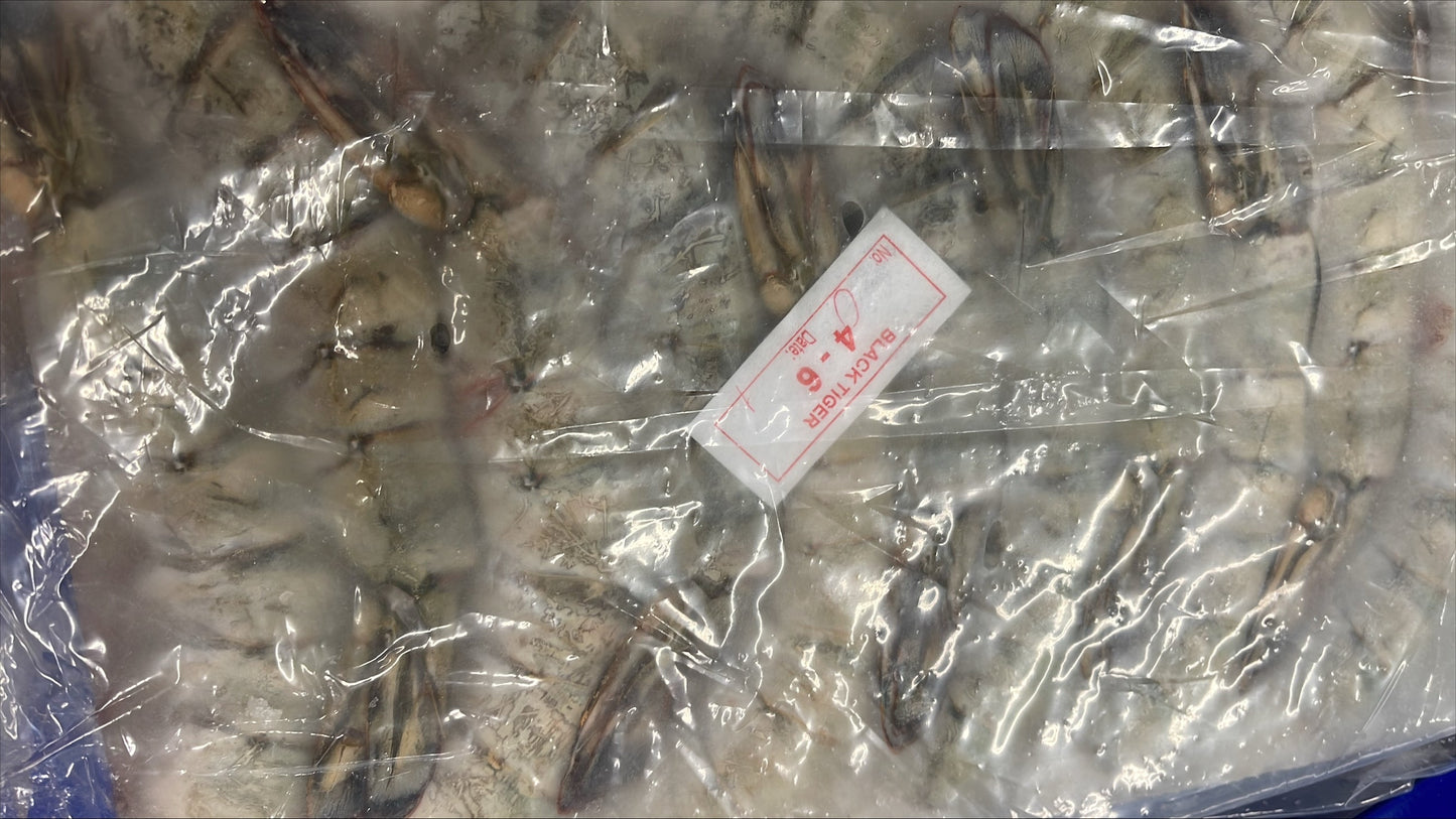 Shrimp (Black Tiger), 4-6, HLSO, Frozen, Vietnam, NW, 24lb, 6 x 4lb