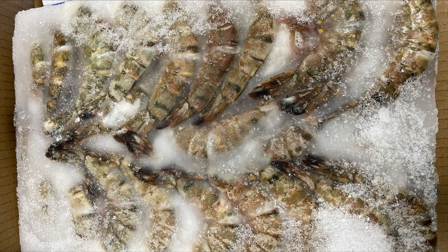 Shrimp, (Black Tiger), 16-20, HLSO, Frozen, Vietnam, NW, 24 lb, 6 x 4 lb