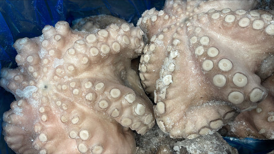 Octopus (Vulgaris), T4 (1.5-2 kg), A Grade, Whole, Frozen, IQF, Morocco, NW, 12 kg (26.46 lb)