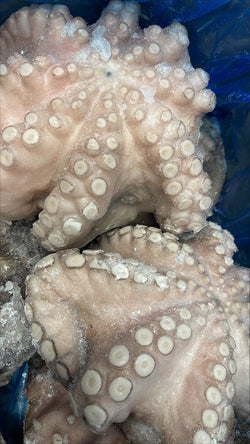 Octopus (Vulgaris), T4 (1.5-2 kg), A Grade, Whole, Frozen, IQF, Morocco, NW, 12 kg (26.46 lb)